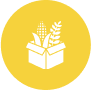 Allied Website Image